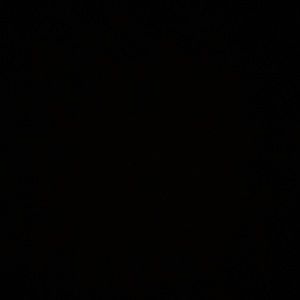 Meet your Posher, Danaya